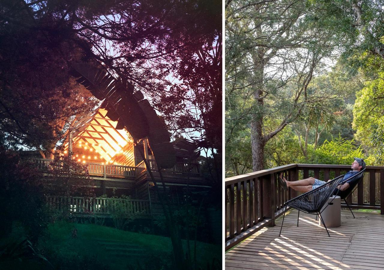 Вілла Forestchild Self Catering, The Crags Екстер'єр фото